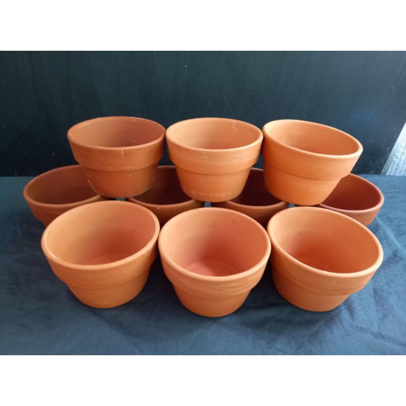 1 chậu nung trồng sen đá xương rồng