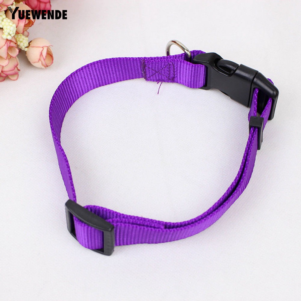 Vòng cổ an toàn đáng yêu dành cho thú cưng