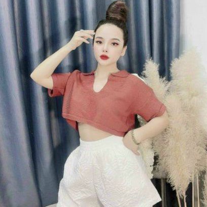 Áo tay ngắn croptop cổ V cực hot (a15