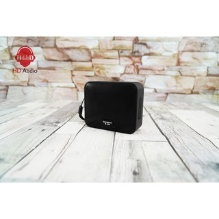 Loa di động SoundMax R-300
