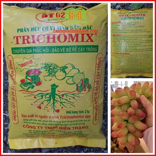Phân ủ rác nhà bếp trichoderma nấm đối kháng 1kg