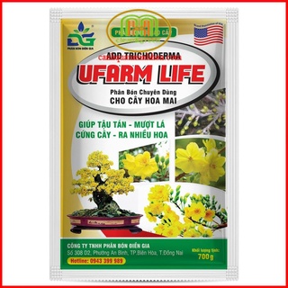 Phân bón Mai Vàng dạng hữu cơ 700gr giúp tậu tán, mượt lá, cứng cây, ra hoa nhiều.
