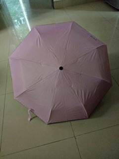 combo 3 cây dù hồng