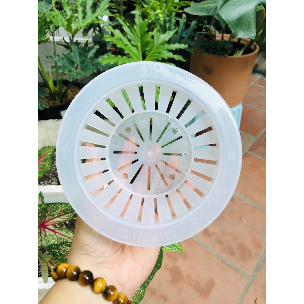 Giỏ lưới thủy canh có 4 kích thước khác nhau đa dạng dùng cho trồng cây trong nhà và ngoài trời