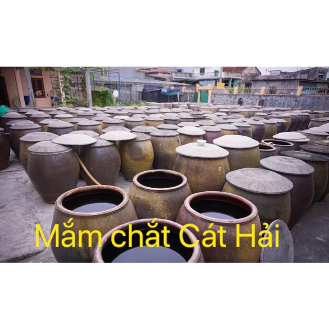 Mắm chắt cá cơm