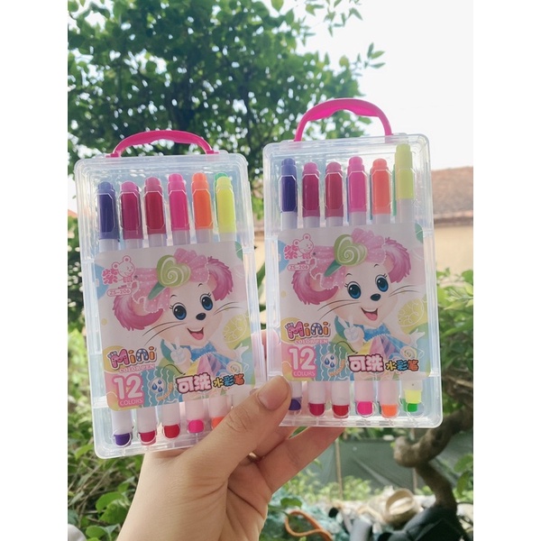 Vỉ 12 bút dạ màu Mini