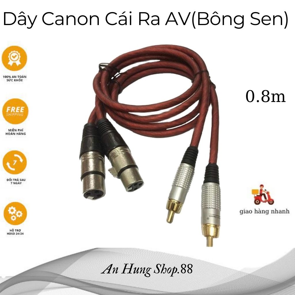 Dây canon cái ra av  hàng huicheng.