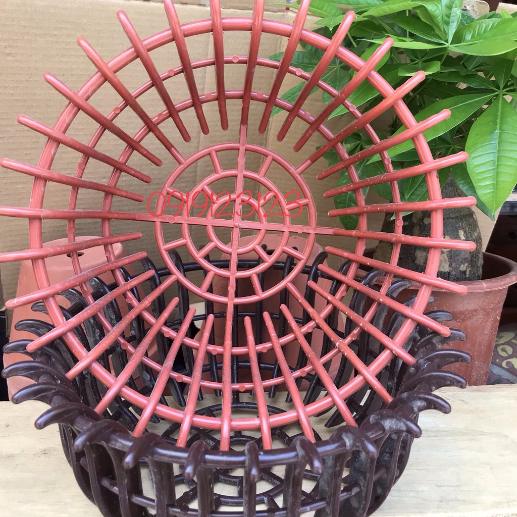 Chậu nhựa mẫu sen fi 30