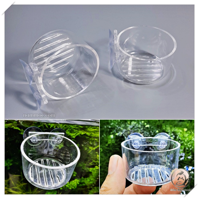 Cốc Trùn Acrylic | Phễu Đựng Trùn Acrylic  - Phụ Kiện Cho Cá Ăn