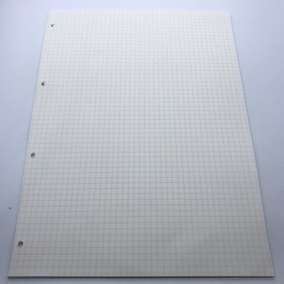 Ruột sổ A4(45 tờ)