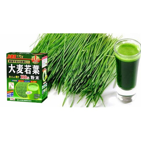 Trà lúa non đại mạch Grass Baaley hộp 48 gói mẫu mới Nhật Bản ( Bột lúa non)