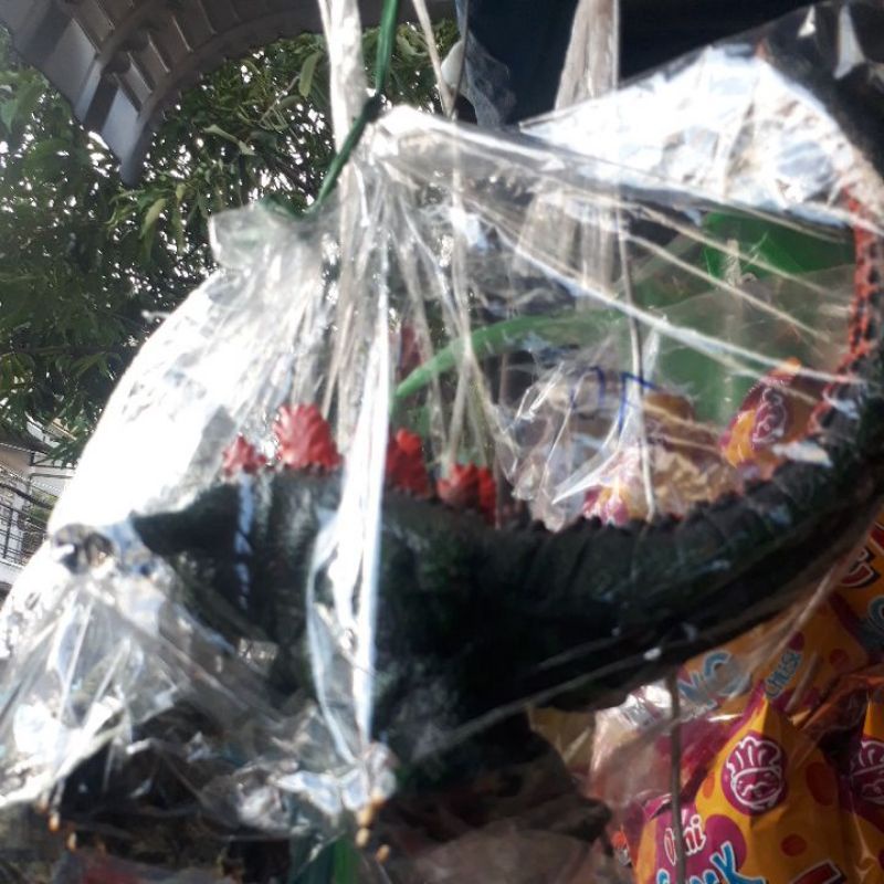 Khủng long da mềm