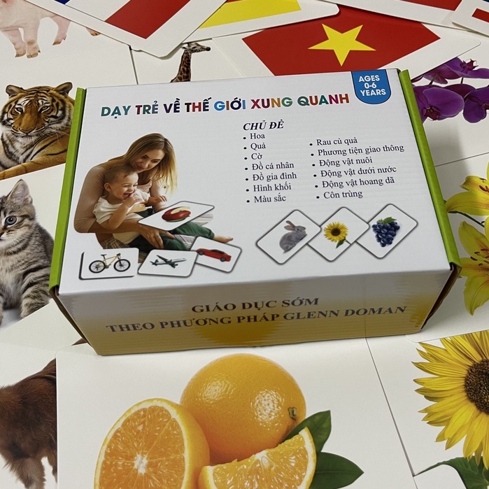 BỘ THẺ THẾ GIỚI XUNG QUANH 300 THẺ  - DẠY BÉ BIẾT ĐỌC SỚM