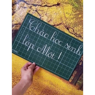 BẢNG HỌC SINH  MIKI - CHỐNG CHÓI🌹💁CHỐNG LOÁ CỰC TỐT