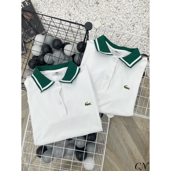 Áo Polo cá sấu hot hittt quốc dân