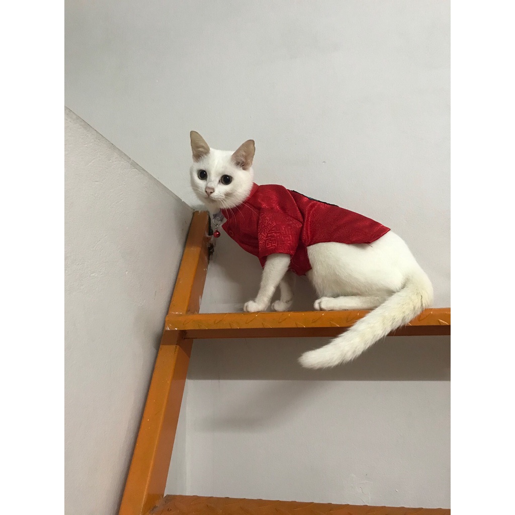 Áo chó mèo tết, áo dài tết thêu họa tiết xinh xắn - Đồ tết dành cho chó mèo (họa tiết ngẫu nhiên)