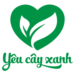 Yêu Cây Xanh Sài Gòn