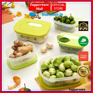 Bộ hộp trữ mát có nút hô hấp ventsmart five star - tupperware