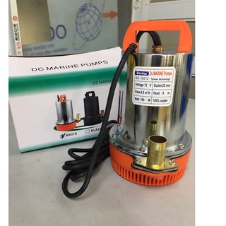 Bơm chìm vỏ inox 160W dùng điện ac quy 12V