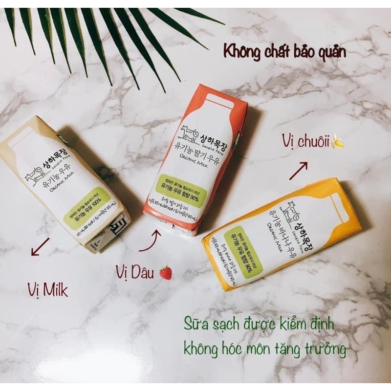 Sữa tươi organic cao cấp Sangha Farm Maeil nội địa Hàn Quốc 125ml date mới nhất