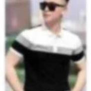 Áo Thun POLO Nam Tay Ngắn Thêu Logo AREMI Cao Cấp Thoáng Mát Co Dãn Tốt ARPL05