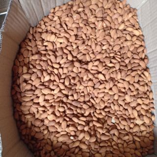 Hạt Hạnh Nhân Mỹ  500g ( Sấy Chín )