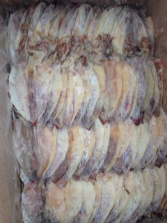 Khô mực