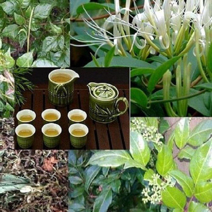 1kg Trà Son Mật  Hồng Sâm - Thanh nhiệt  Giải khát mùa Hè  MS 03 | BigBuy360 - bigbuy360.vn