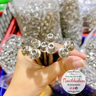 Ốc salaya size 6ly1.5 - 9 phân