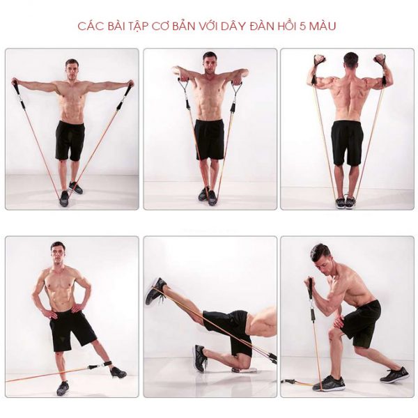 ✔️ Dây Đàn Hồi Tập Gym Tại nhà, Bộ 5 Dây Ngũ Sắc Đàn Hồi Tập Thể Hình Full Body - Dụng Cụ Tập Gym [Bảo Hành 1 Đổi 1]