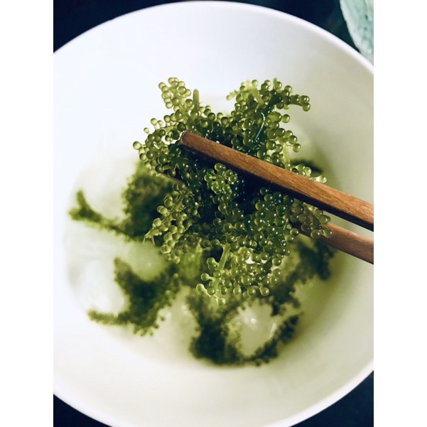 100gram Rong nho tách nước Monino | BigBuy360 - bigbuy360.vn