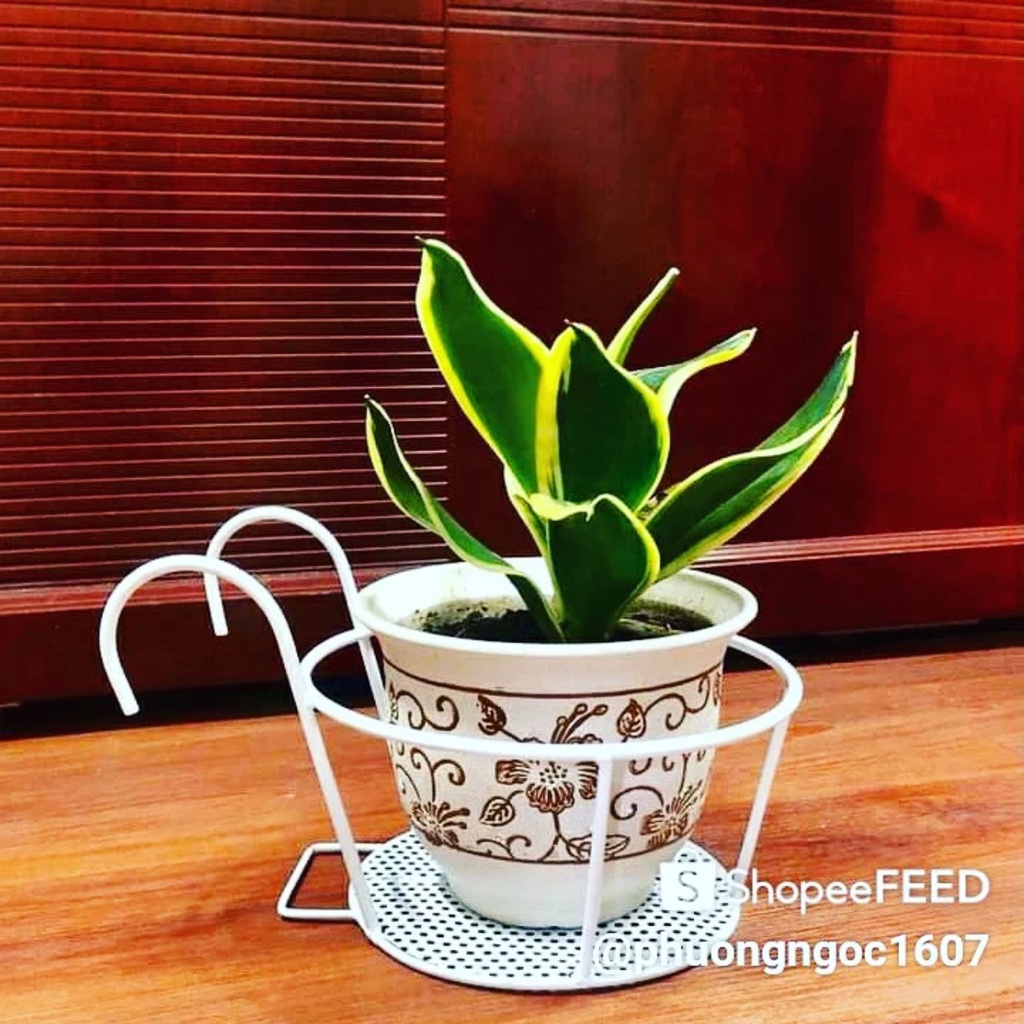 Giỏ treo chậu hoa - Giỏ  treo Chậu hoa ban công - Giỏ sắt treo chậu cây cứng cáp, R 22cm, R đáy 18cm