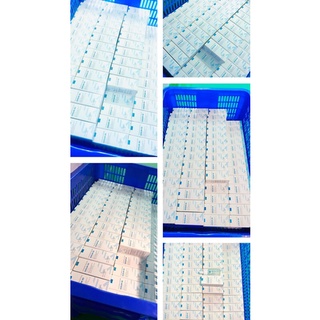 Serum B5 & HA 30ml,Handmade