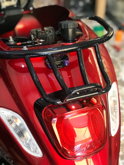 BAGA CONG VESPA SPRINT, PRIMAVERA NHẬP KHẨU