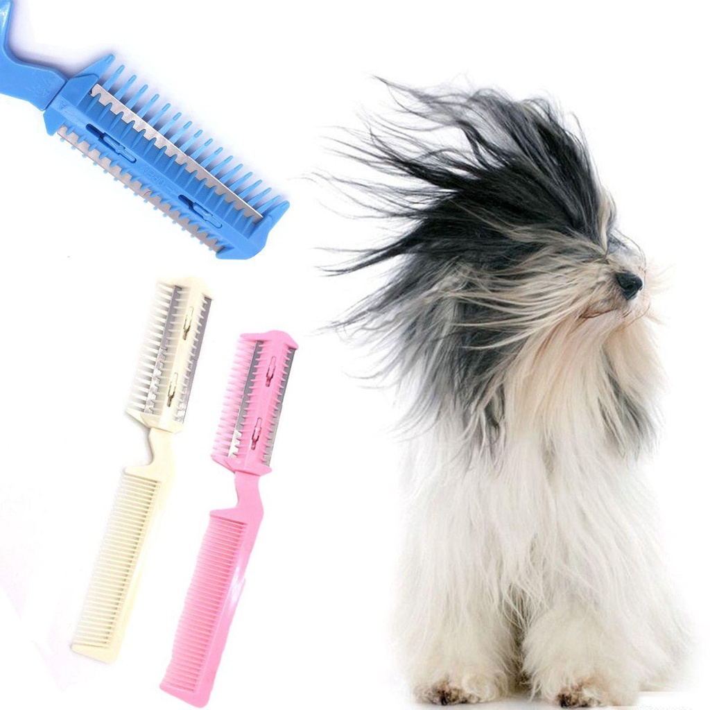 Lược Nhựa Chải Lông Thú Cưng Hút Ẩm Tiện Dụng
