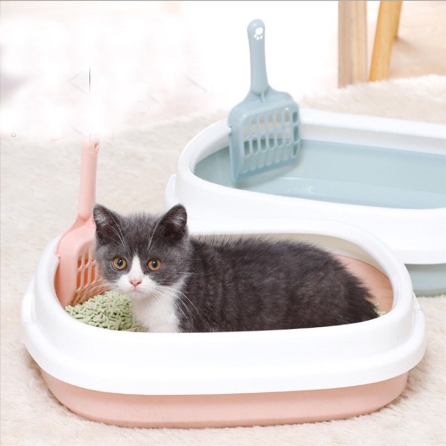 Khay vệ sinh mèo bầu dục kèm xẻng khay vệ sinh cho mèo size 40*33*12cm