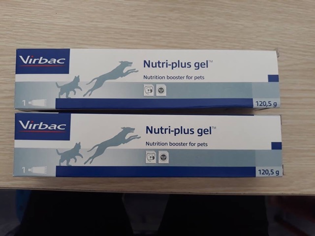 Nutri-plus gel dinh dưỡng cho cún-miu