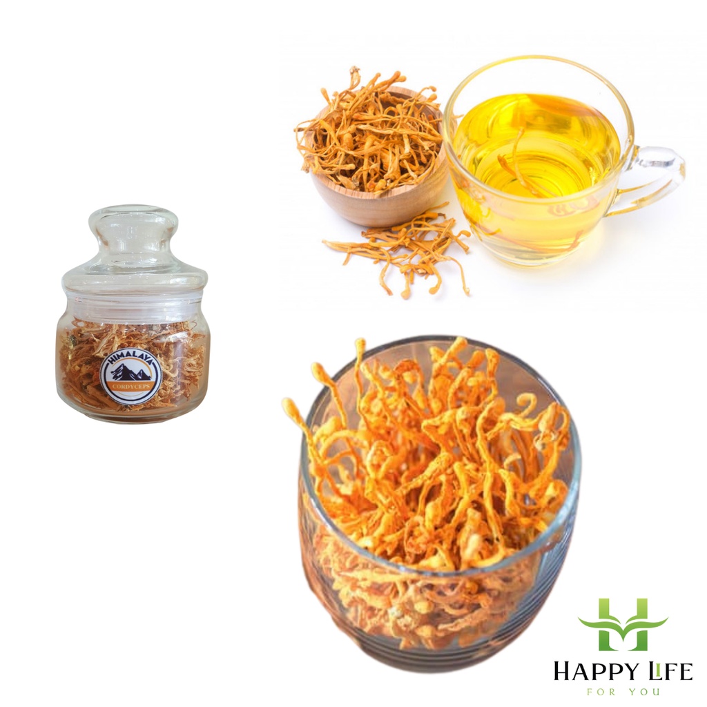 Đông trùng hạ thảo sấy khô HIMALAYA - Happy Life 4U