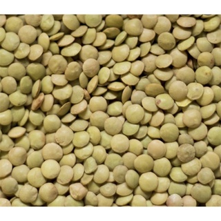Đậu lăng xanh Ấn Độ Green lentil