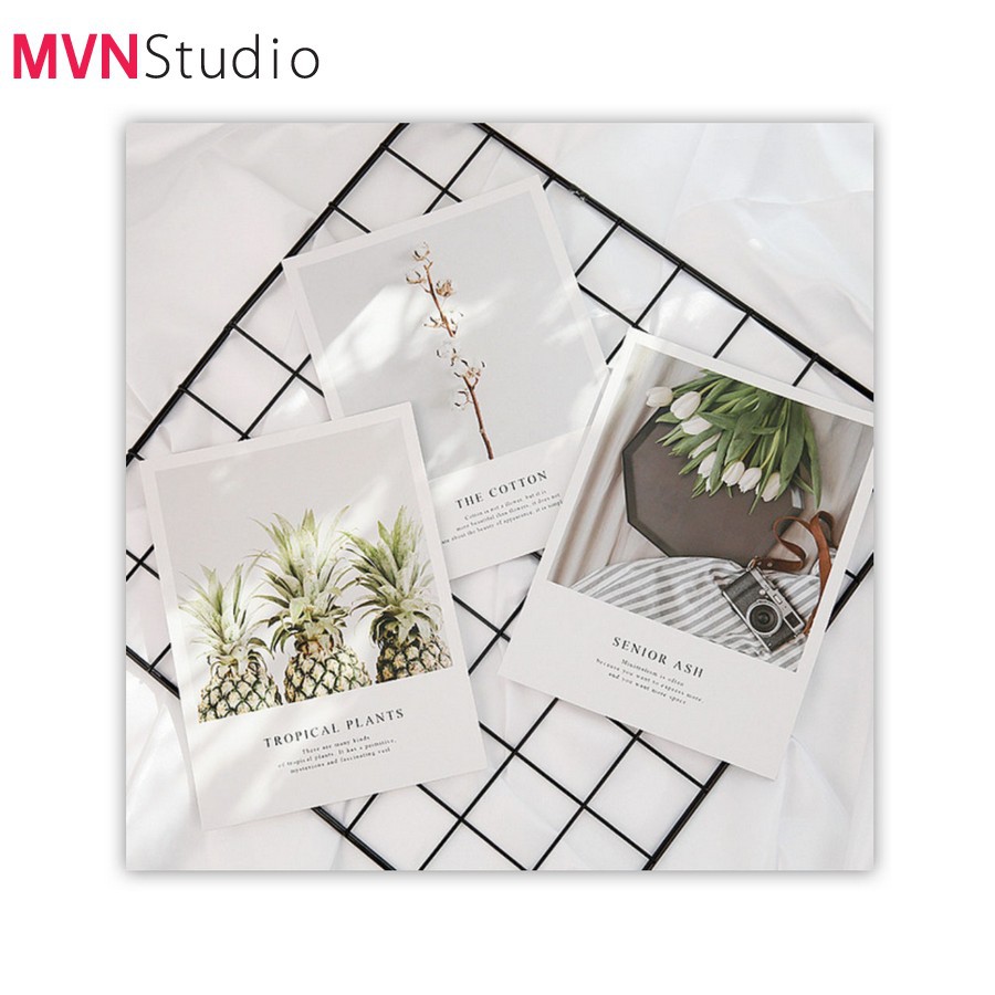 MVN Studio - 9 mẫu bìa tạp chí đẹp sang trọng tinh tế dùng làm đạo cụ chụp ảnh decor