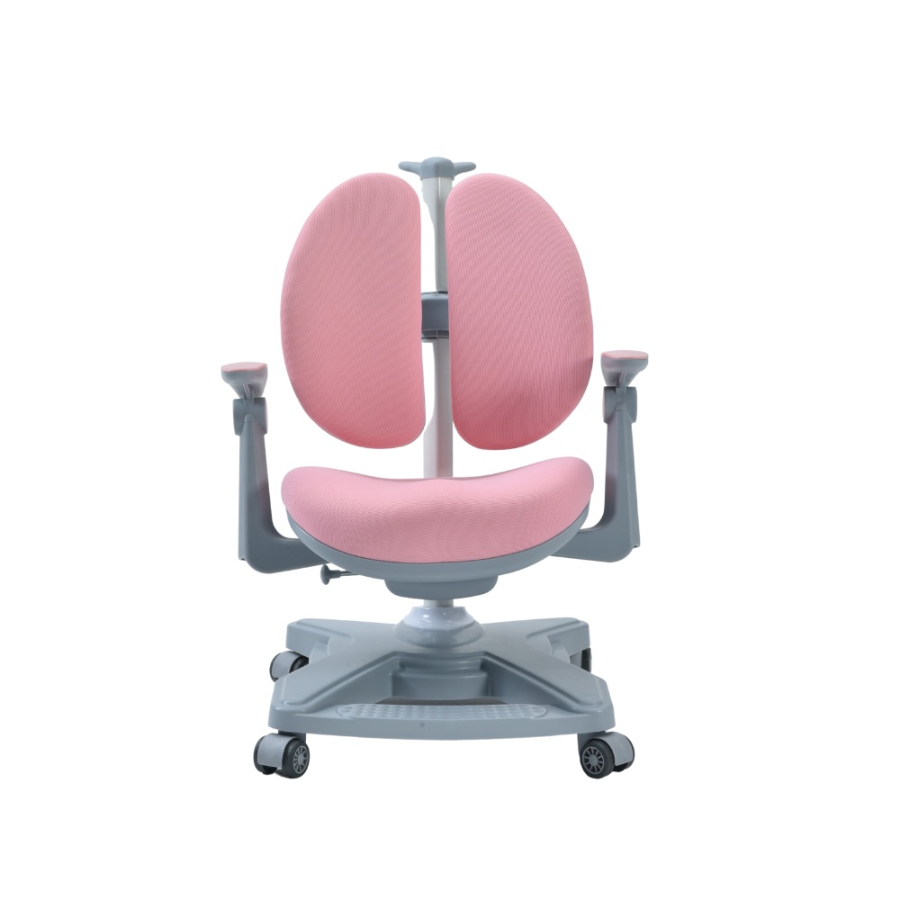 Bộ Bàn Ghế Chống Gù Chống Cận ZAC Ergonomic GJHH120T +Y001 Pink