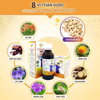 Combo 2 chai Cao Lỏng Vượng Khí - Giúp bổ phế, giảm ho, loãng đờm làm ấm hô hấp, giảm đau rát họng (Chai 100ml)