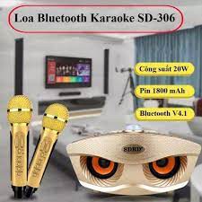 Loa karaoke bluetooth mini SD-306 loa hát karaoke đa năng,Tặng Kèm 2 Mic Không Dây - Bảo hành