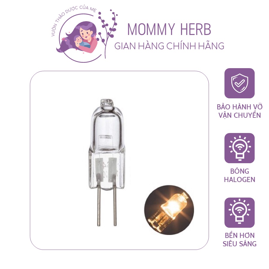 Bóng đèn đèn xông tinh dầu - Dành cho các loại đèn xông tinh dầu sử dụng điện - Bóng Halogen cho tuổi thọ cao hơn