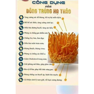đông trùng hạ thảo gói 100g