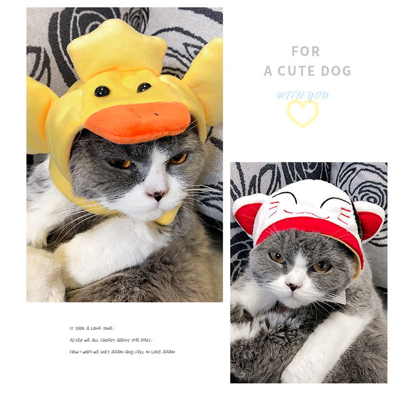 Nón đội hóa trang halloween dễ thương cho thú cưng