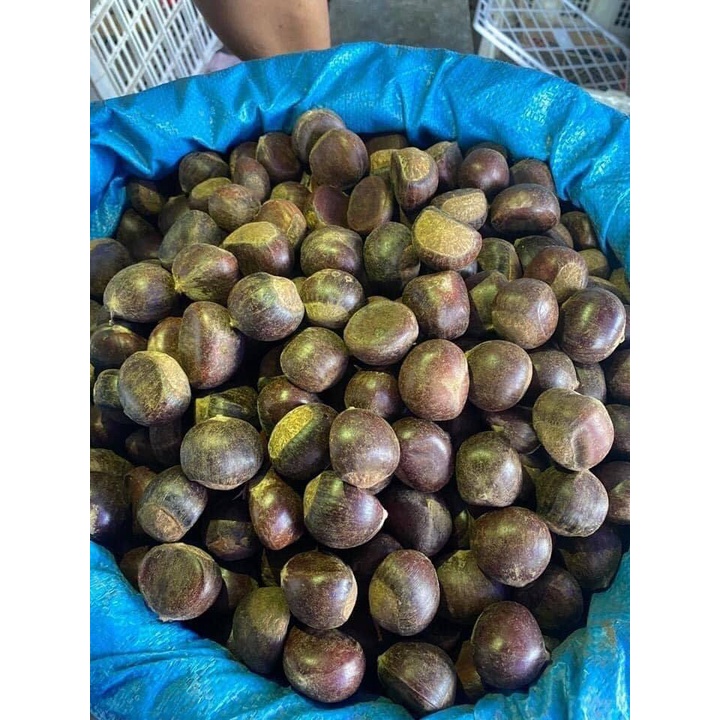 1KG HẠT DẺ TO NGON ĐẢM BẢO HÀNH CHẤT LƯỢNG. Hạt Dẻ Tươi chế biến thơm ngon