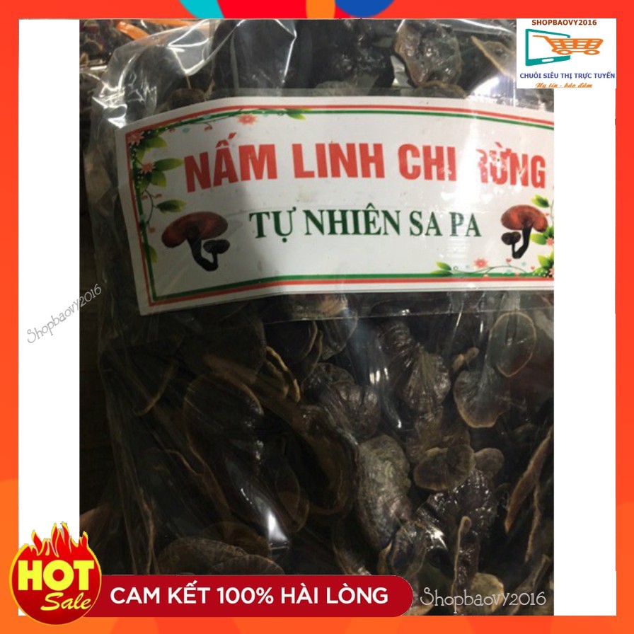 SIÊU CHẤT LƯỢNG/ Nấm linh chi rừng Tây Bắc 200 dùng thử Nguyên cây nấm