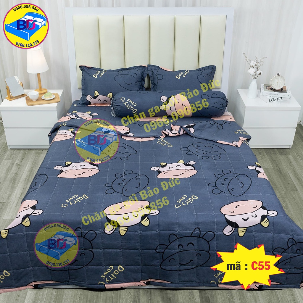 Bộ ga gối 1m6/1m8 drap giường poly , ga trải giường + 2 vỏ gối nằm cùng bộ