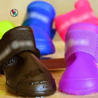 Bộ 4 giày bốt đi mưa cho thú cưng